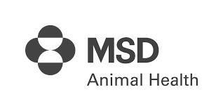 MSD logo