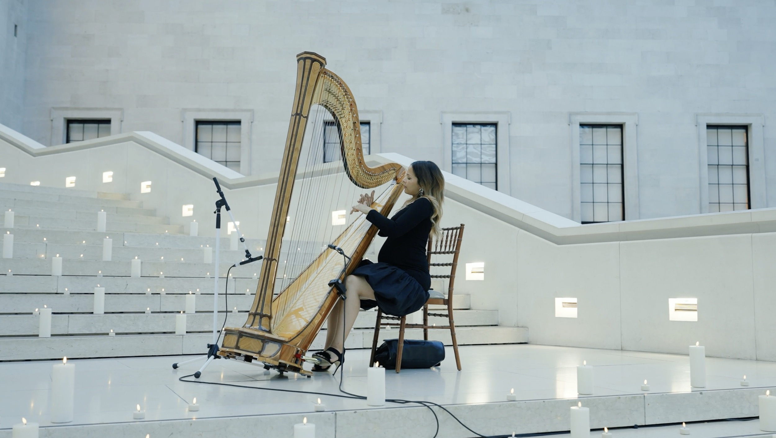High-end corporate networking event with live harpist inside a historic London landmark